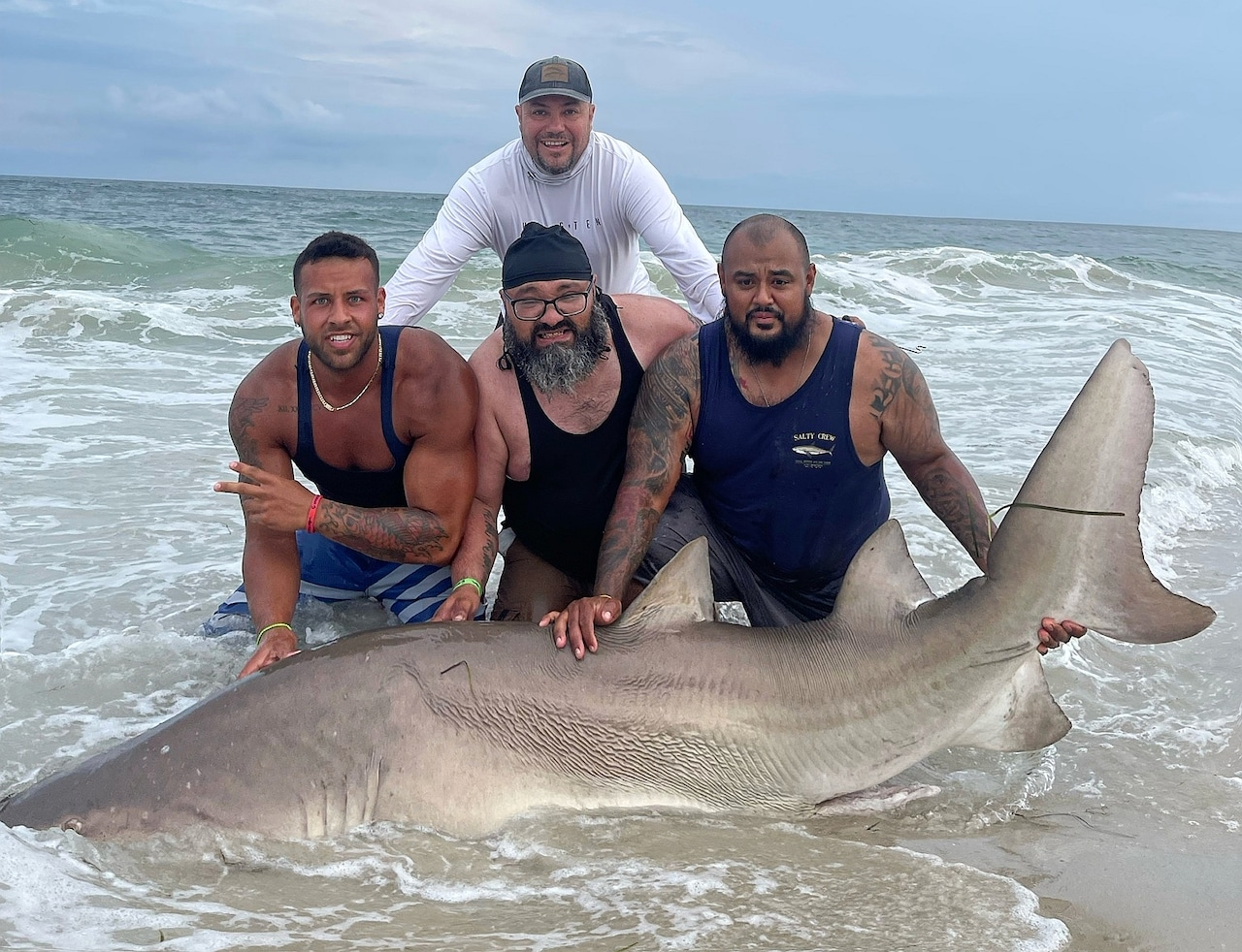 Long Island Shark